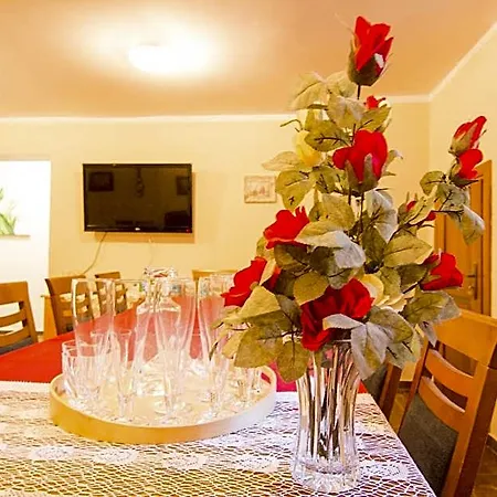 Alkor 3* Siecino