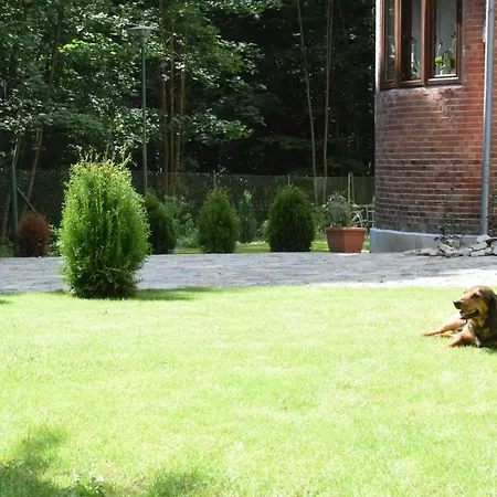 Alkor 3* Drzensko (Lubusz)