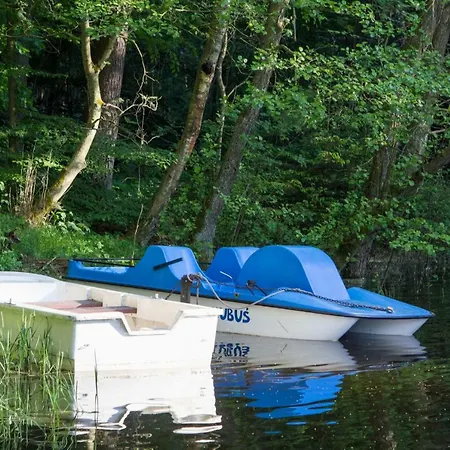 Alkor Drzensko (Lubusz)