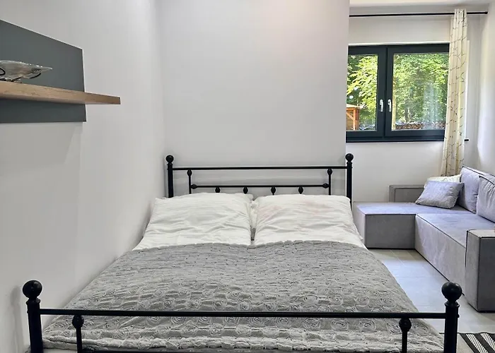 Alkor Drzensko (Lubusz)