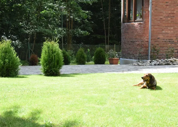 Alkor 3* Drzensko (Lubusz)